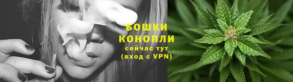 молекула духа Рославль