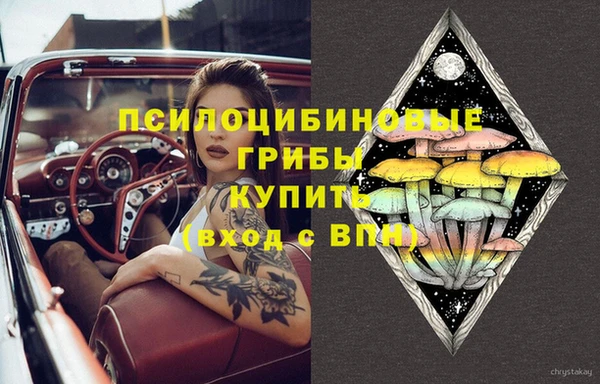 герыч Арсеньев