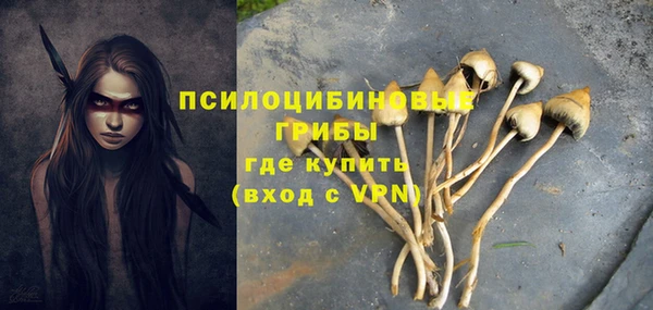 герыч Арсеньев