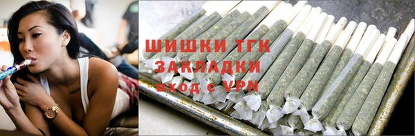 ешки Аркадак